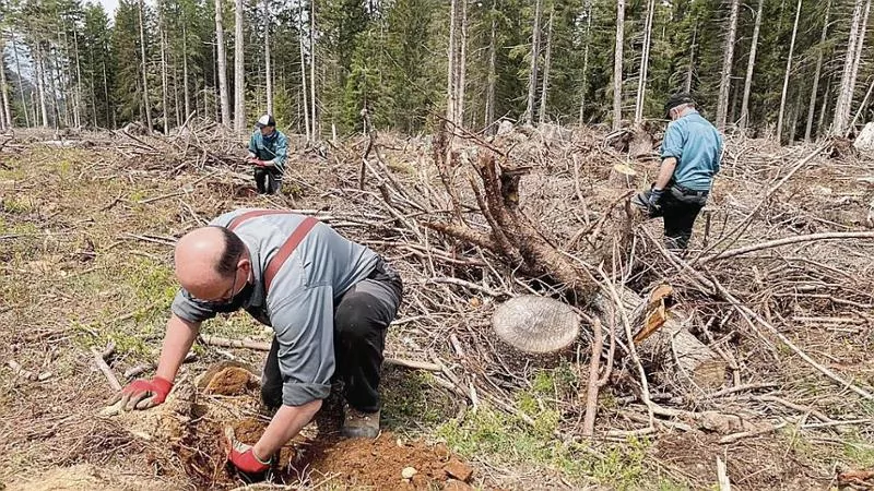 Nasce il Registro dei crediti di carbonio, approvato l’emendamento De Carlo Ampia maggioranza in Commissione. Il senatore: «Atto concreto per l’autonomia finanziaria delle aree montane»