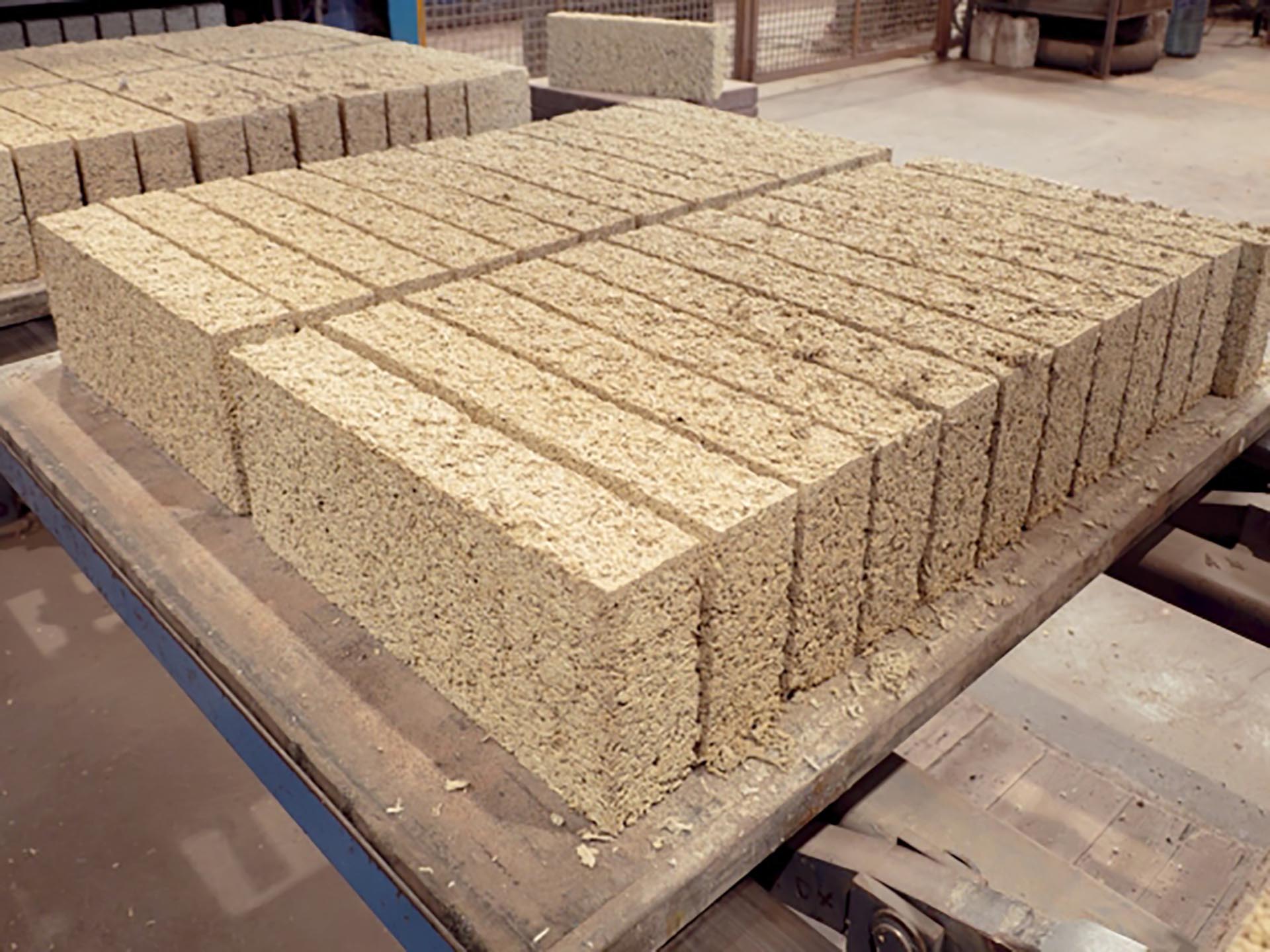 Biomattoni di canapa che catturano CO<sub>2</sub> e pannelli di riso: la svolta green (e made in Italy) dell’edilizia