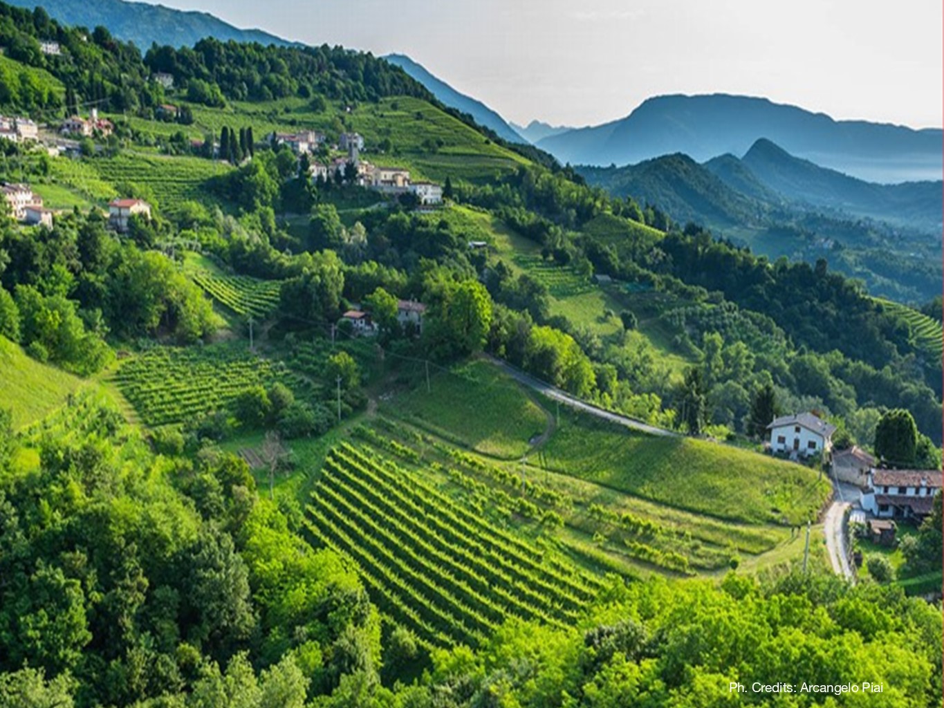 Territori vinicoli tra Governance e Sostenibilità